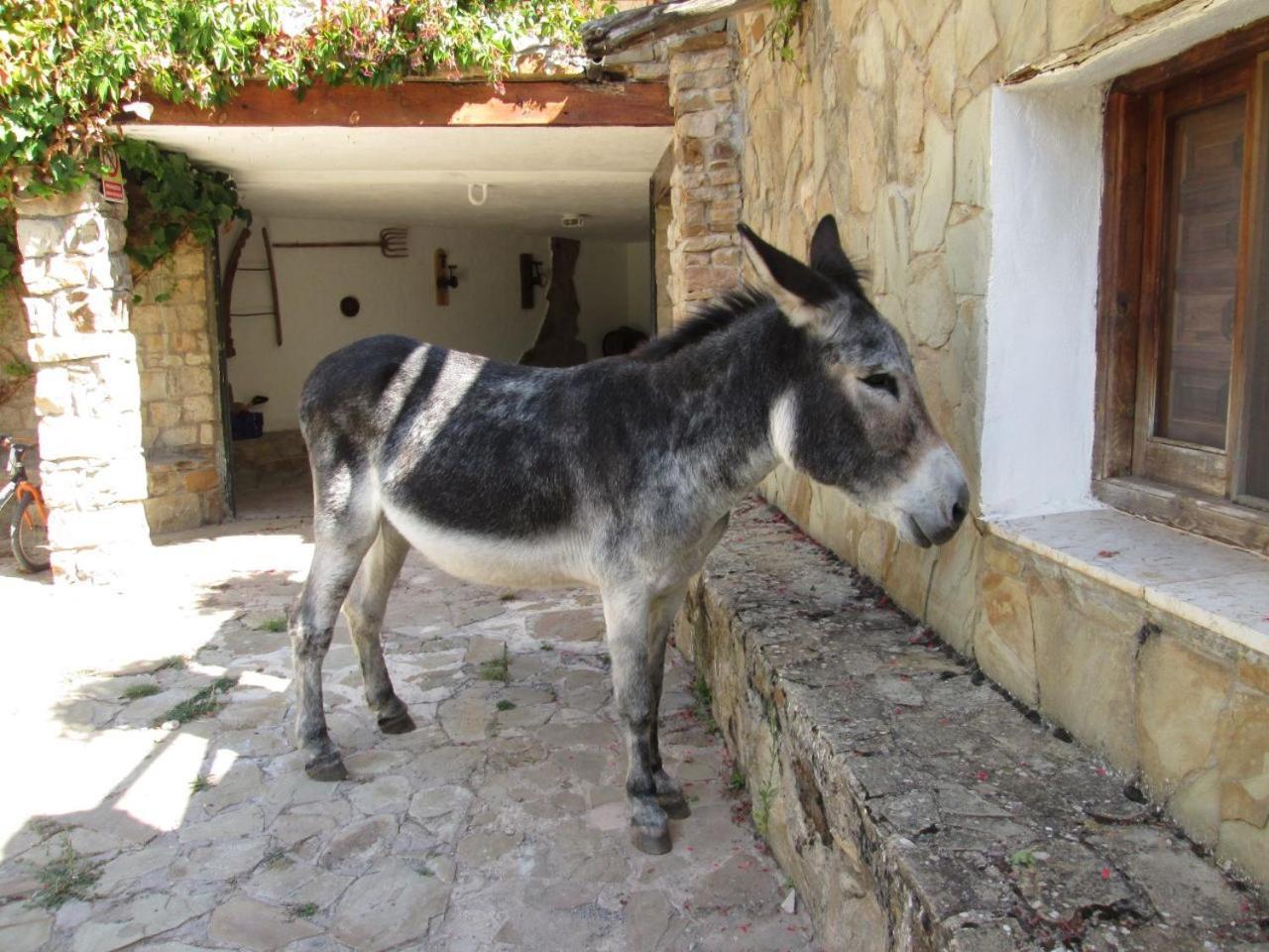 Formiche Alto Camping Casa Fausto Cerca De Dinopolis מראה חיצוני תמונה